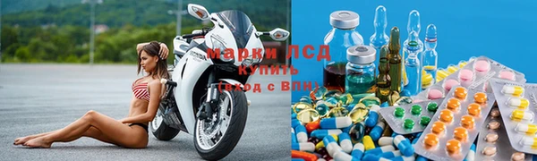 ПСИЛОЦИБИНОВЫЕ ГРИБЫ Медвежьегорск