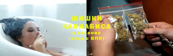 ПСИЛОЦИБИНОВЫЕ ГРИБЫ Медвежьегорск