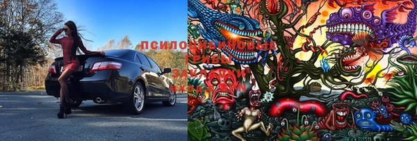 ПСИЛОЦИБИНОВЫЕ ГРИБЫ Медвежьегорск