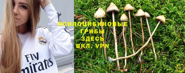 ПСИЛОЦИБИНОВЫЕ ГРИБЫ Медвежьегорск