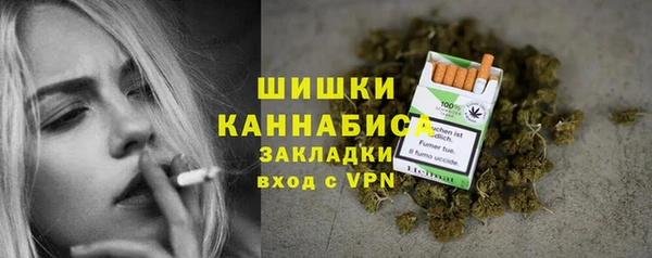 ПСИЛОЦИБИНОВЫЕ ГРИБЫ Медвежьегорск